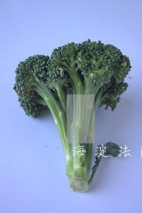 海淀法院许耽
