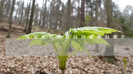 海淀离婚债务纠纷律师有哪些 海淀离婚债务纠纷律师有哪些