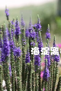 海淀离婚律师联系方式房山 海淀离婚律师联系方式房山