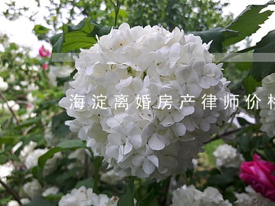海淀离婚房产律师价格 海淀离婚房产律师价格