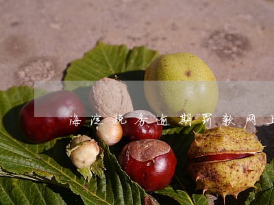 海淀税务逾期罚款网上缴纳 海淀税务逾期罚款网上缴纳