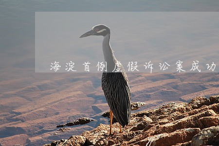 海淀首例虚假诉讼案成功改判 海淀首例虚假诉讼案成功改判