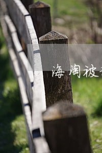 海淘被税会留下违法记录吗