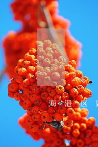 海港区婚姻律师哪家好 海港区婚姻律师哪家好
