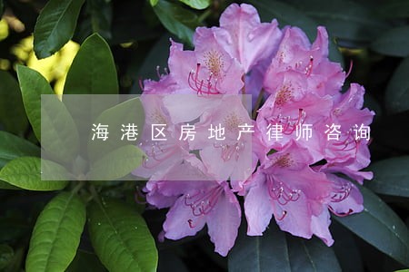 海港区房地产律师咨询 海港区房地产律师咨询