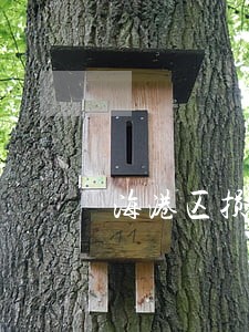 海港区损害赔偿在线律师