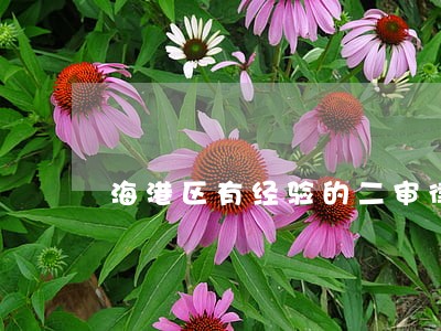 海港区有经验的二审律师 海港区有经验的二审律师