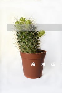 海港区诈骗官司律师电话 海港区诈骗官司律师电话