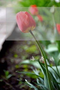海港法院王小安 海港法院王小安