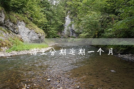 海王分期逾期一个月 海王分期逾期一个月