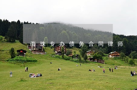 海珠专办债务合同律师 海珠专办债务合同律师