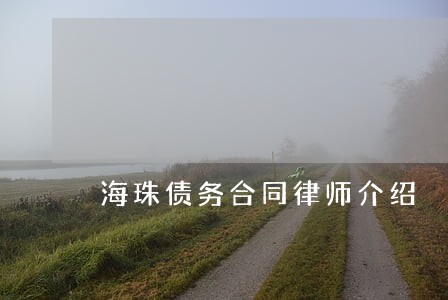 海珠债务合同律师介绍 海珠债务合同律师介绍