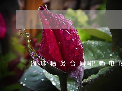 海珠债务合同律师电话 海珠债务合同律师电话