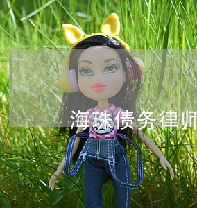 海珠债务律师免费咨询 海珠债务律师免费咨询