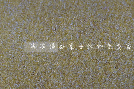 海珠债务案子律师免费咨询 海珠债务案子律师免费咨询