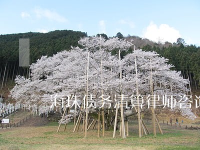 海珠债务清算律师咨询 海珠债务清算律师咨询