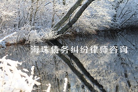 海珠债务纠纷律师咨询 海珠债务纠纷律师咨询