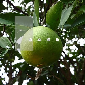 海珠债务追讨律师排名 海珠债务追讨律师排名