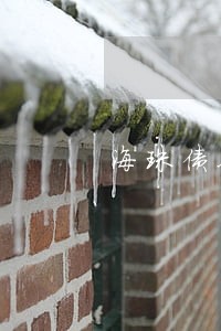 海珠债务追讨律师网站 海珠债务追讨律师网站