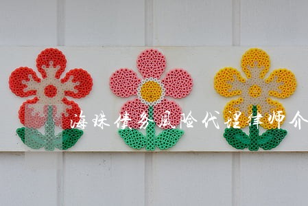 海珠债务风险代理律师介绍