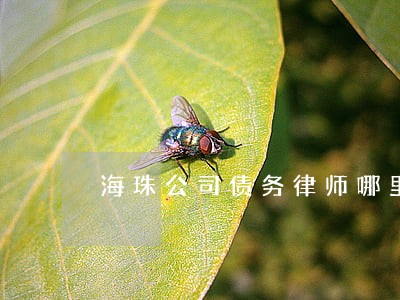 海珠公司债务律师哪里找 海珠公司债务律师哪里找