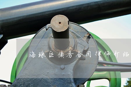 海珠区债务合同律师介绍 海珠区债务合同律师介绍