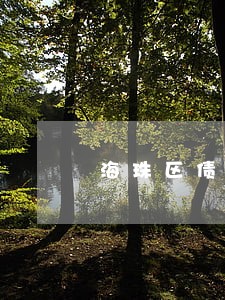 海珠区债务执行律师电话