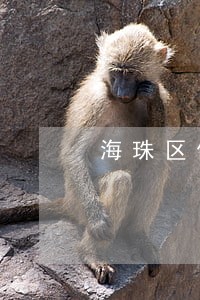 海珠区债务承担律师在线 海珠区债务承担律师在线