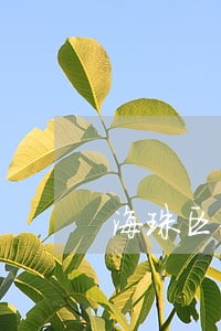 海珠区债务纠纷律师在线咨询 海珠区债务纠纷律师在线咨询