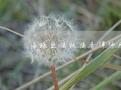 海珠区债权债务律师网站 海珠区债权债务律师网站