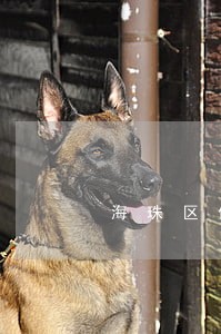 海珠区债权转让律师收费 海珠区债权转让律师收费