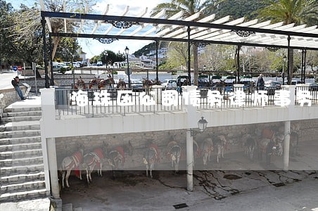 海珠区公司债务律师事务所 海珠区公司债务律师事务所