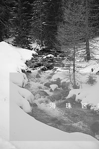 海珠区彩礼纠纷律师收费标准 海珠区彩礼纠纷律师收费标准