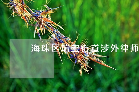 海珠区瑞宝街道涉外律师 海珠区瑞宝街道涉外律师