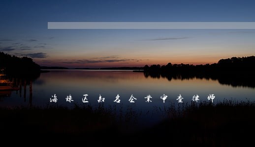 海珠区知名企业审查律师 海珠区知名企业审查律师