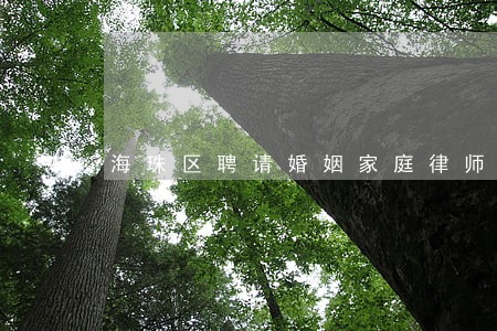 海珠区聘请婚姻家庭律师 海珠区聘请婚姻家庭律师