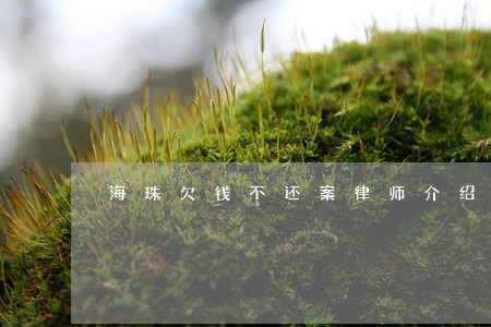 海珠欠钱不还案律师介绍 海珠欠钱不还案律师介绍
