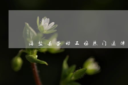 海盐县劳动工伤热门法律咨询 海盐县劳动工伤热门法律咨询