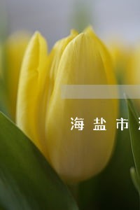 海盐市法律援助中心电话 海盐市法律援助中心电话