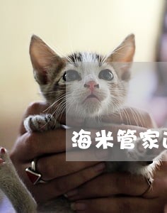 海米管家逾期三个月了怎么办 海米管家逾期三个月了怎么办