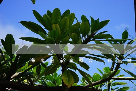 海米管家逾期会上征信吗 海米管家逾期会上征信吗