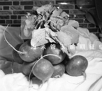 海米管家逾期征信几年消除 海米管家逾期征信几年消除
