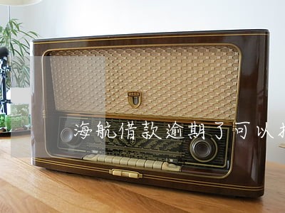 海航借款逾期了可以报案吗 海航借款逾期了可以报案吗