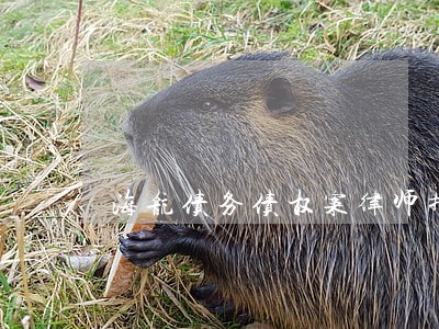 海航债务债权案律师排名靠前