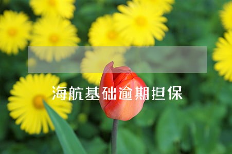 海航基础逾期担保 海航基础逾期担保