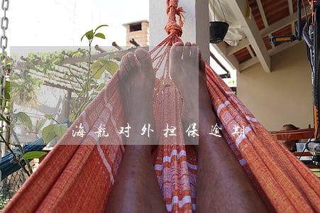 海航对外担保逾期 海航对外担保逾期