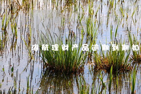 海航理财产品逾期到期如何要回 海航理财产品逾期到期如何要回