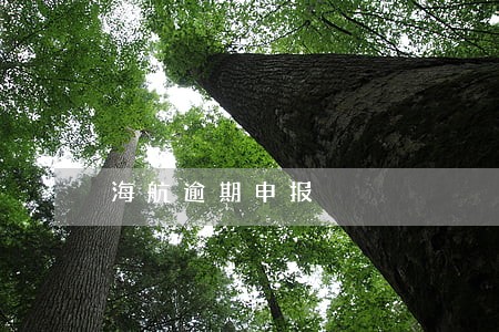 海航逾期申报 海航逾期申报
