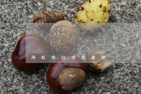 海航银行贷款逾期 海航银行贷款逾期