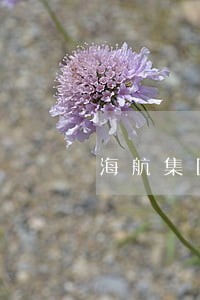 海航集团员工理财逾期